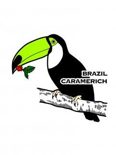 �֥饸�� �������󥷥祳��
��100���