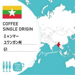 ߥޡ 󥬥 G1 ʥ100