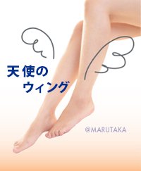 家庭用電気マッサージ器】マルタカ セレヴィスト(CELEVIST)