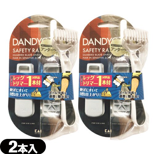 貝印 DANDYCARE(ダンディケア) デリケートゾーン専用 かみそり(2本入