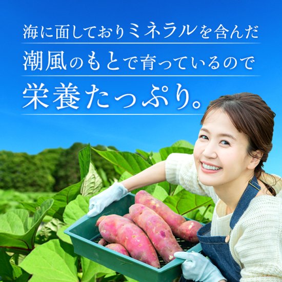 干し芋 国産 無添加 送料無料 茨城県産 紅はるか 平干し 丸干し 2種