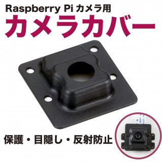 Raspberry Pi ѥС