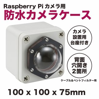 Raspberry Piɿ奱 100  