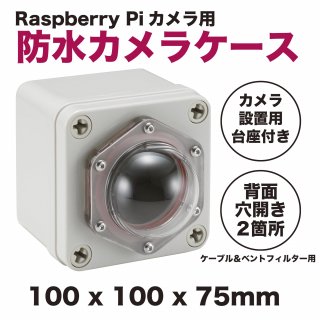 Raspberry Piɿ奱 100  