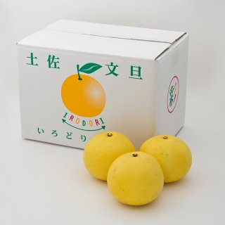 フルーツ・柑橘類