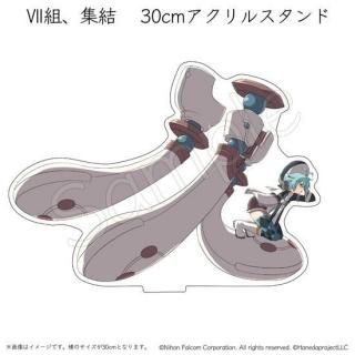 <img class='new_mark_img1' src='https://img.shop-pro.jp/img/new/icons14.gif' style='border:none;display:inline;margin:0px;padding:0px;width:auto;' />Falcom ε׭֭ȡ<br>30cm륹 ߥꥢ