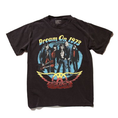 EPIC RIGHTS T-SHIRT Dream On 1973