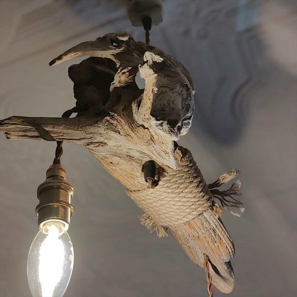 【送料無料】★LED専用★2灯式流木照明★ 自然な流木ペンダントライト | ペンダントライト2灯