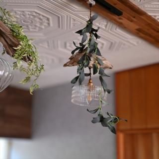 流木のペンダントライト | 1灯766｜おしゃれ 流木ライトのWoodyWood