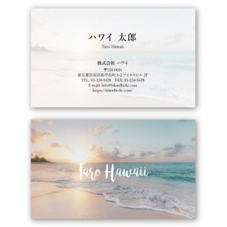 <img class='new_mark_img1' src='https://img.shop-pro.jp/img/new/icons61.gif' style='border:none;display:inline;margin:0px;padding:0px;width:auto;' />ڼ̾ɡLive Aloha