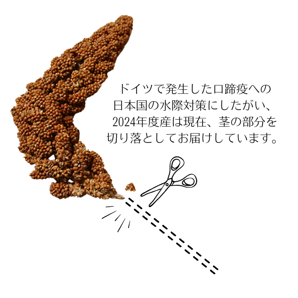 フランス産　赤粟穂　粟穂 インコ えさ おやつ フランス産 赤粟穂 500g （ 1g 約4.6円