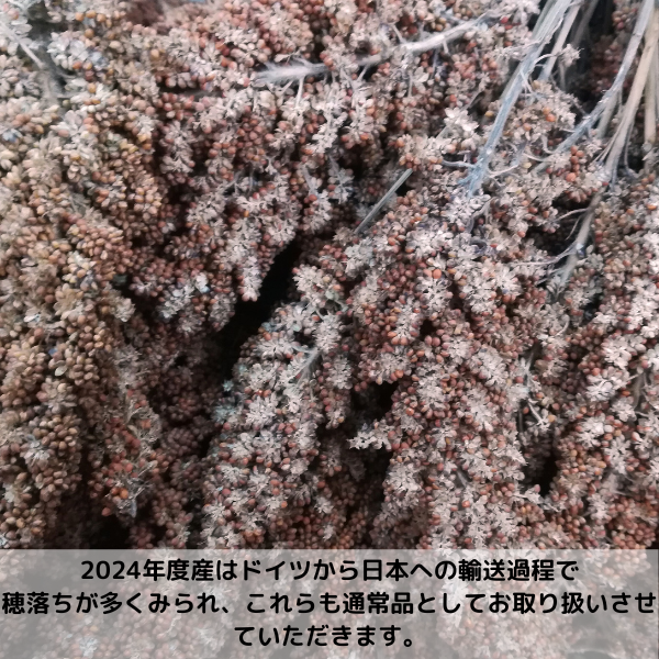 フランス産　赤粟穂　粟穂 無農薬フランス産赤粟穂 100g | 2024年度産 - とりきち横丁