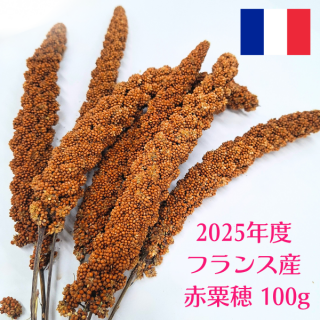 ̵ۥե󥹻ְ 100g