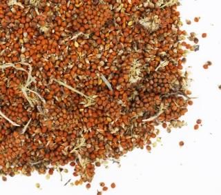 黄交チ葉型小猪口 珍味入れ10客 前菜の器 新品未使用 酢の物厳禁 黄交