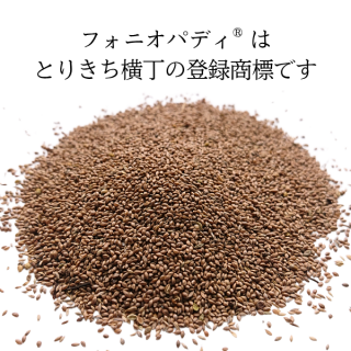 ̵ۥե˥ѥǥ<sup>&#174;</sup>