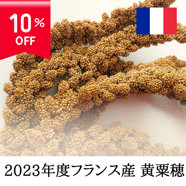 粟穂 フランス産 赤粟穂 黄色粟穂 - 鳥用品