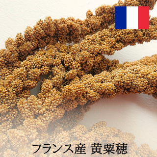 ̵ۥե󥹻 100g