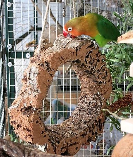 天然コルクブランコ（紐＆ステンレス製カラビナつき） - とりきち横丁