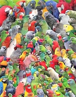 ̵ۥݥĻγڱˢ¾ƱԲ