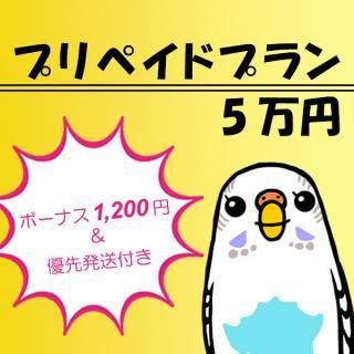 ��ͥ��ȯ���դ��ۥץ�ڥ���5���ߥץ�� �����������ݥ���ȡ������ݥ�����Բ�