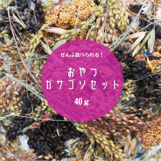 【無農薬】秋冬限定ガサゴソセット 40g