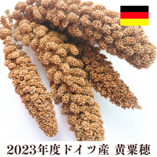 【無農薬】ドイツ産黄粟穂 100g 