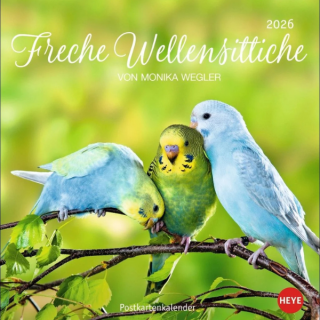 <img class='new_mark_img1' src='https://img.shop-pro.jp/img/new/icons1.gif' style='border:none;display:inline;margin:0px;padding:0px;width:auto;' />ݥȥɥ2026ǯ