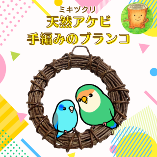 <img class='new_mark_img1' src='https://img.shop-pro.jp/img/new/icons1.gif' style='border:none;display:inline;margin:0px;padding:0px;width:auto;' />ڥߥť ŷӼԤߤΥ֥