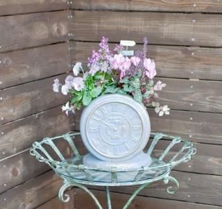 SALE 心に寄り添う寄せ植え 大人かわいい ミニ葉牡丹 最高峰の苗