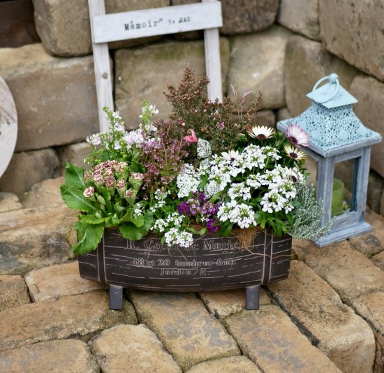 樽型　お花いっぱいの寄せ植え　エリカ　ギョウリュウバイ　プリムラ　イベリス　玄関を華やかに - cucu fleur