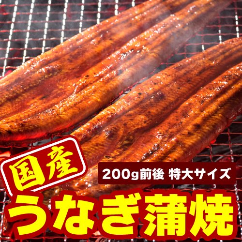 国産うなぎ蒲焼き 200g前後 - みんなのまぐろやさん