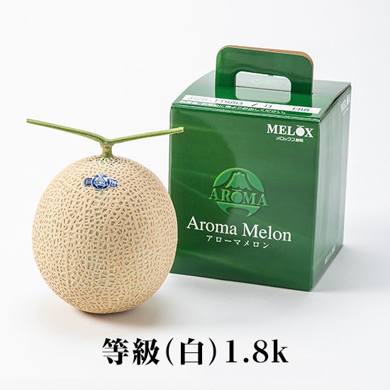 MELOX静岡 温室メロン - 野菜、果物