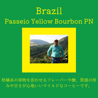 送料無料｜ブラジル パッセイオ農園 イエローブルボン PN｜コーヒー豆の商品画像