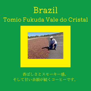 送料無料｜ブラジル トミオフクダ　バレ・ド・クリスタル農園DOT｜コーヒー豆の商品画像
