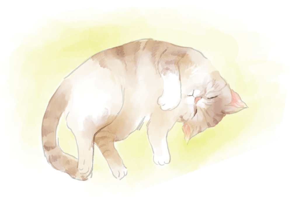 ����ǲᤴ���Ƥ���������ǭ�Ƥ�����