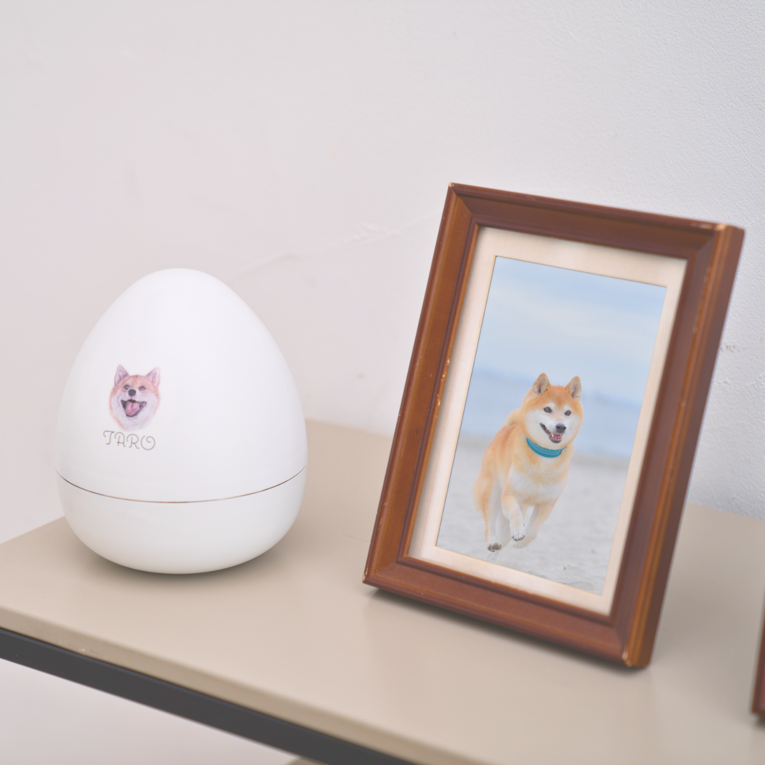 �ޥ���ޥ��ۥ磻��