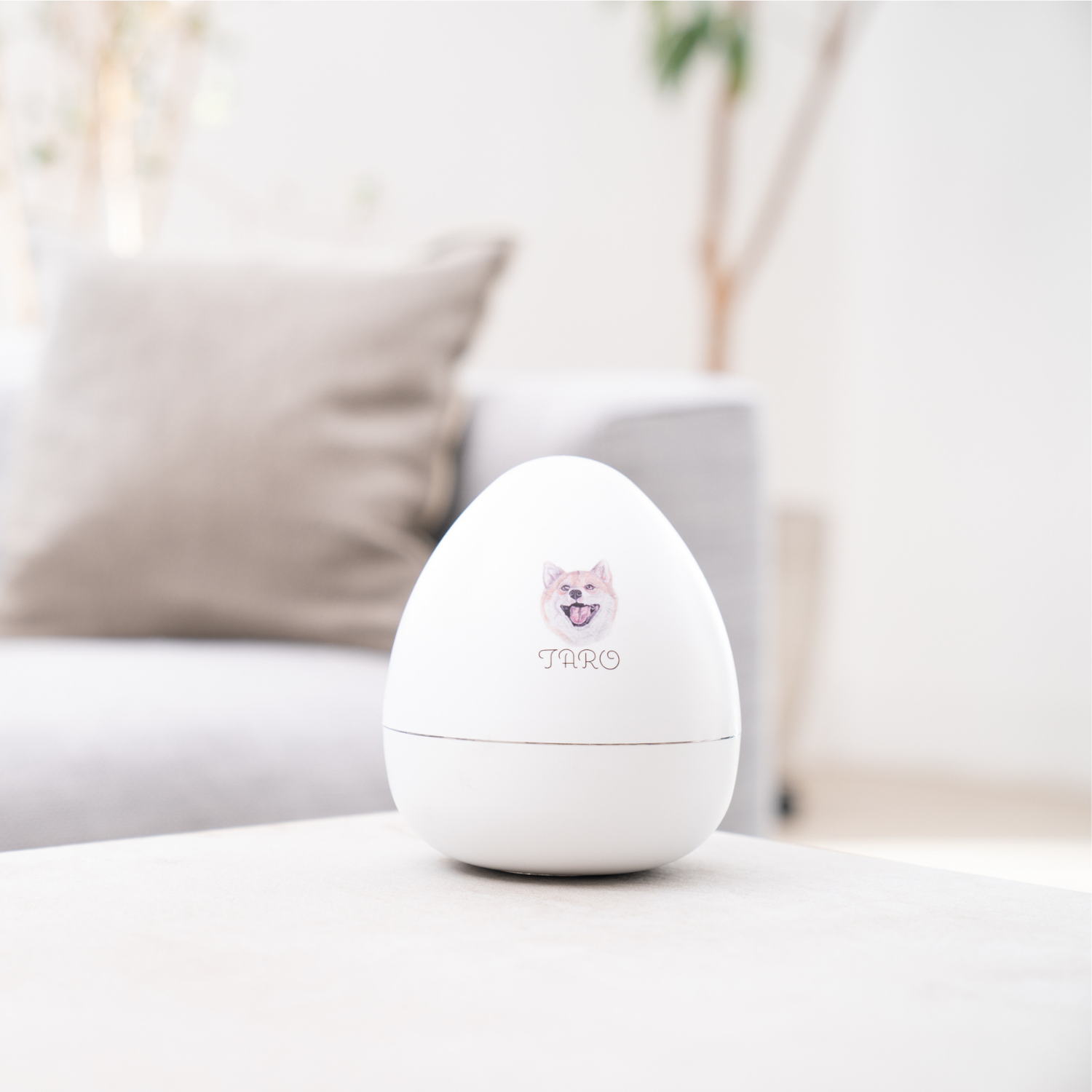 ���饹�ȥ�����