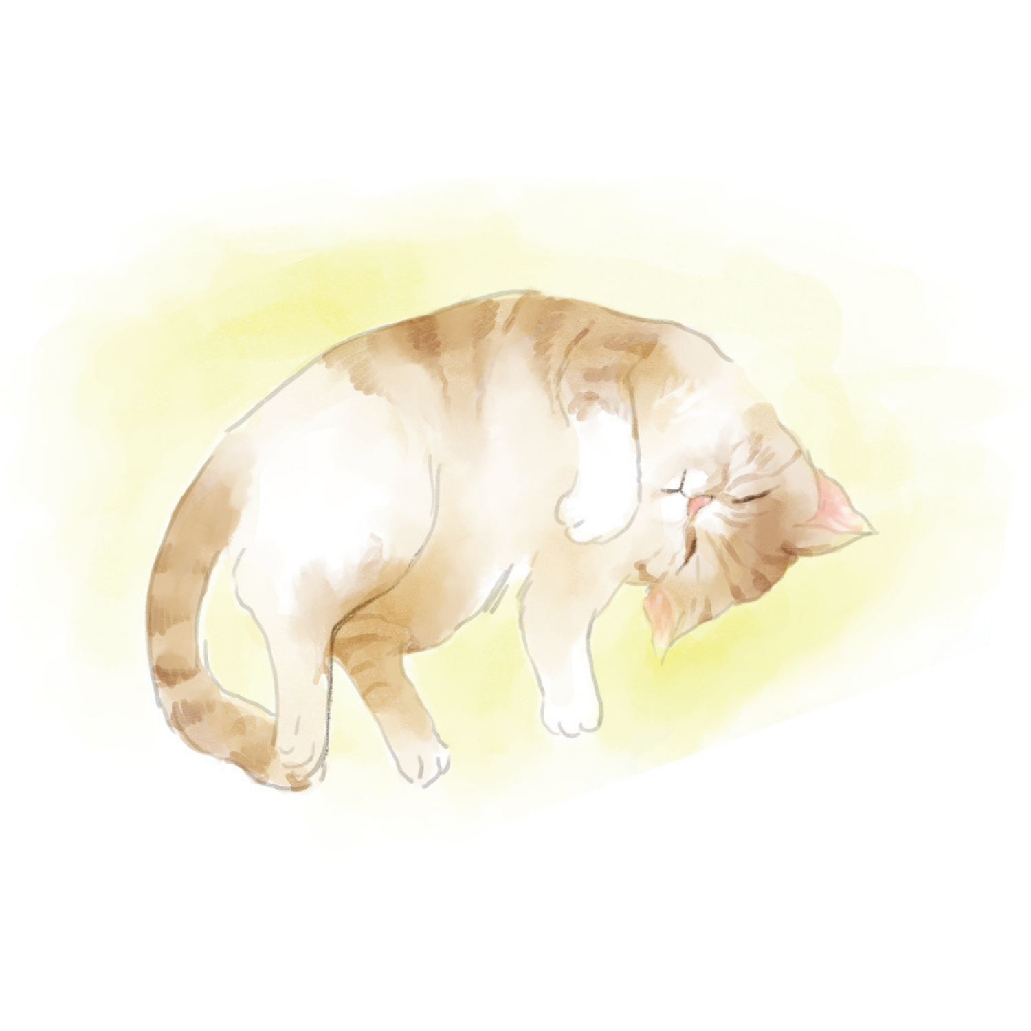 TEN�����ޤ줿�ط�