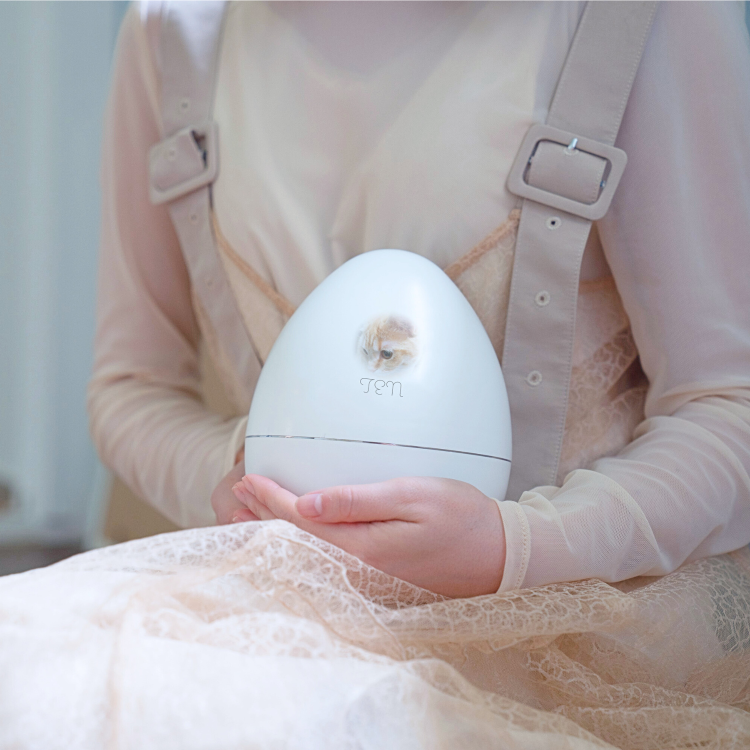 TEN �ޥ���ޥ��ۥ磻�ȡڥ��ꥢ��ե��ȡ� 