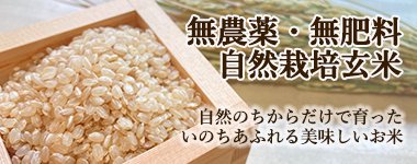 無農薬・無肥料の自然栽培玄米