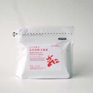 ウエダ家の自然発酵乳酸菌　１g×３０包の商品画像