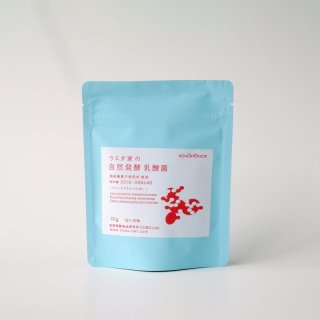【30％OFF】ウエダ家の自然発酵乳酸菌　１g×１０包の商品画像