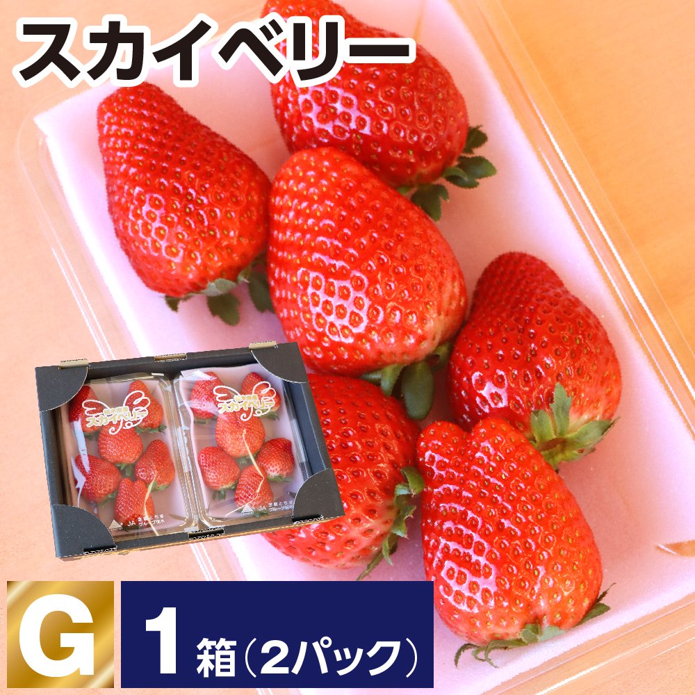 スカイベリー 等級G 1箱(1箱あたり約280g×2パック) - JAしもつけ青果店