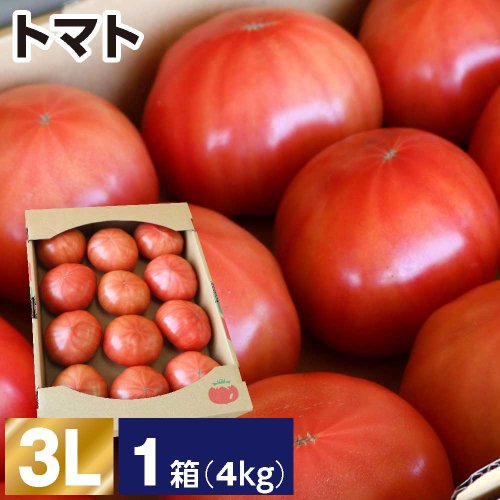 トマト 3L 1箱(1箱あたり4kg 約12〜13玉)