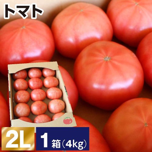 トマト 2L 1箱(1箱あたり4kg 約14〜15玉)