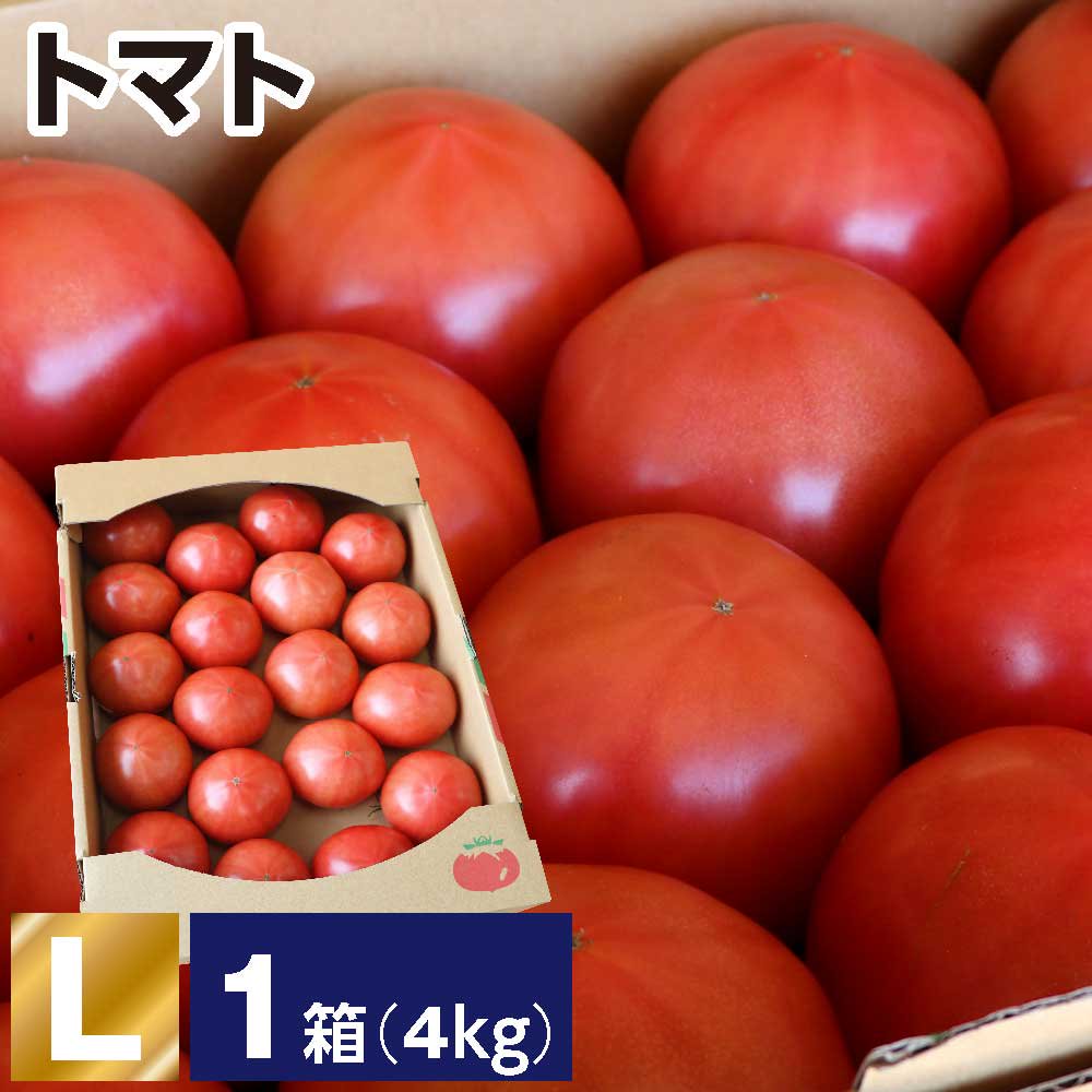 トマト L 1箱(1箱あたり4kg 約18～20玉) - JAしもつけ青果店 - JAしも