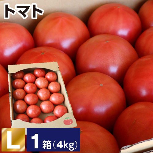 トマト L 1箱(1箱あたり4kg 約18〜20玉)