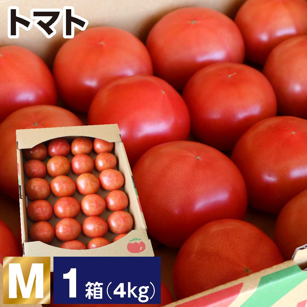 トマト M 1箱(1箱あたり4kg 約24玉) - JAしもつけ青果店 - JAしもつけ