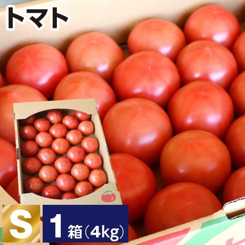 トマト S 1箱(1箱あたり4kg 約28玉)