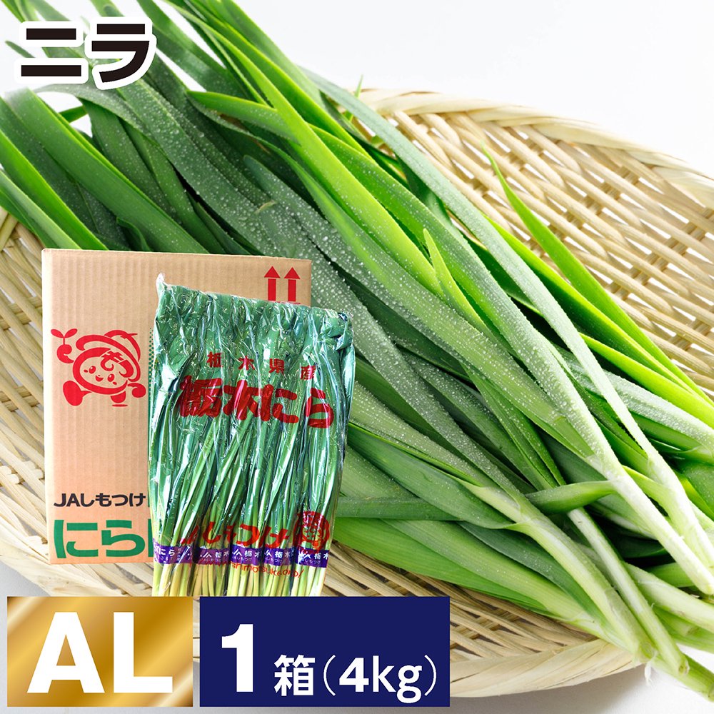 ニラ AL １箱(1箱あたり4kg 約100ｇ×10束×4袋) - JAしもつけ青果店 - JAしもつけ産直オンラインショップ